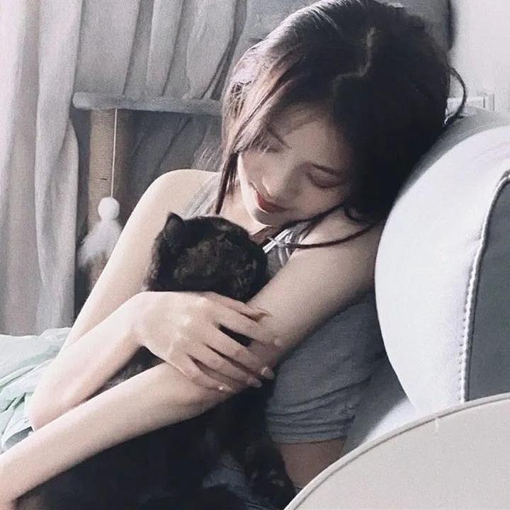 维罗提卡