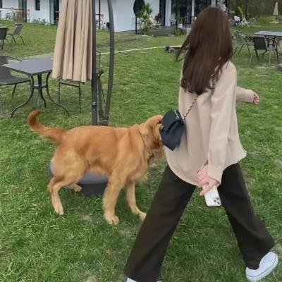 圆形楼梯